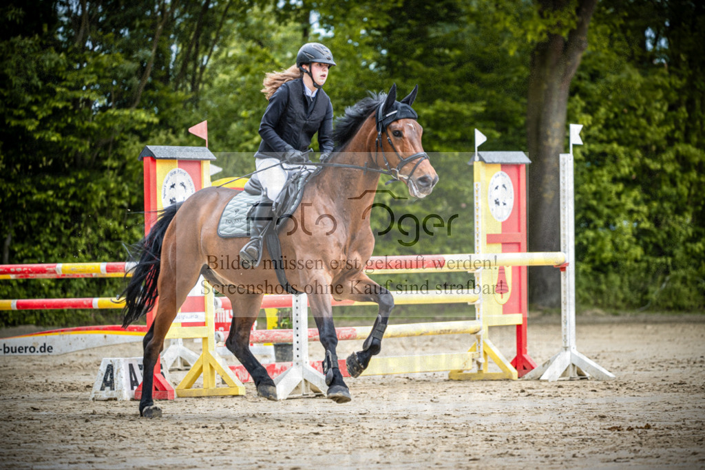 DOS_1629 | Reitturnier Lüdinghausen - Realisiert mit Pictrs.com