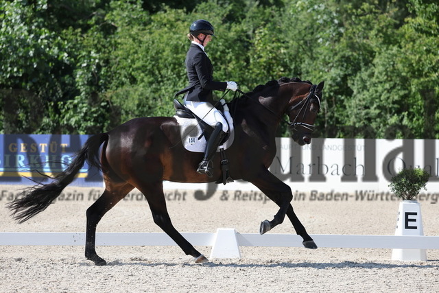 Weilheim_2025_Prfg.Nr.24_Reitpferdeprüfung_Ines Fleischmann_Tjara 17 (10) | Alle Fotos der Reiterjournal Fotografin Doris Matthaes im Reiterjournal Online-Fotoshop. - Realisiert mit Pictrs.com