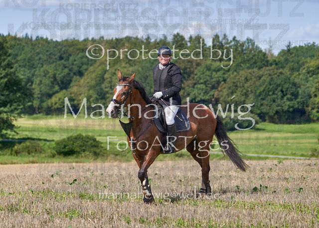 08-23 Bredeneek Jagd_MCH9203_Marina Hewig | Fotografie, FotoArt, PferdesportArt, Pferdesportfotografie, Landschaftsfotografie, Reisefotografie, Reise, Pferde - Realisiert mit Pictrs.com