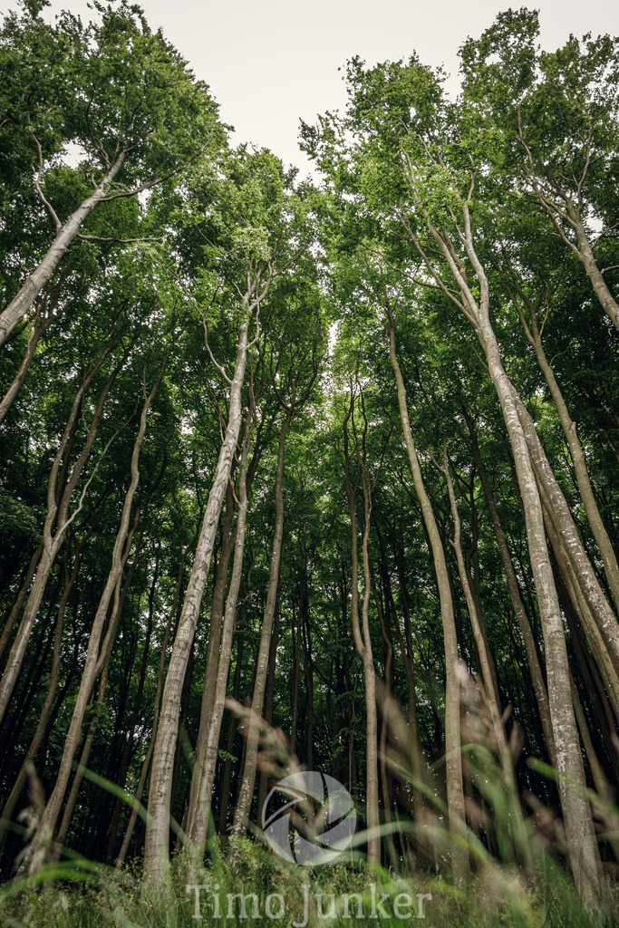 Shop_Landscapes--19 | junker-foto - Realisiert mit Pictrs.com