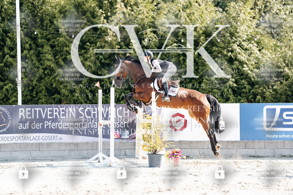 CK902212 | Turnierfotografie Pferdefotografie Trier Rheinland-Pfalz Pferdesport Reitsport Tierfotografie Sportfotografie Pferdevideo Pferdevideografie Equestrianvideography equestrianphotography  - Realisiert mit Pictrs.com