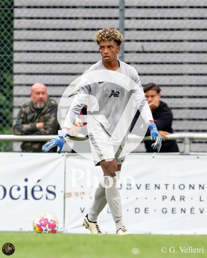 DZ9_0954 | Velletri Photo