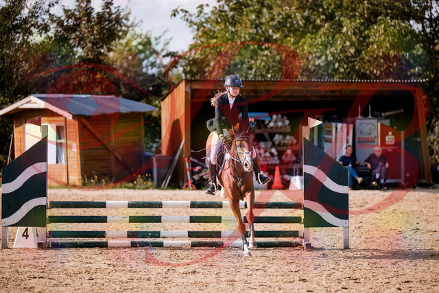 2026_10_03_Siefer-Hof_155806_Z81_77901856 | Professionelle Reitsport-, Turnier- und Eventfotografie von Robert Broda. Galerien mit ausgewählten und bearbeiteten Bildern direkt online ansehen und bestellen.