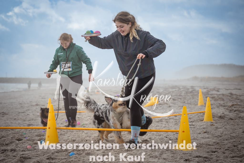 1202_ZZ93732 | kk-dogfotos