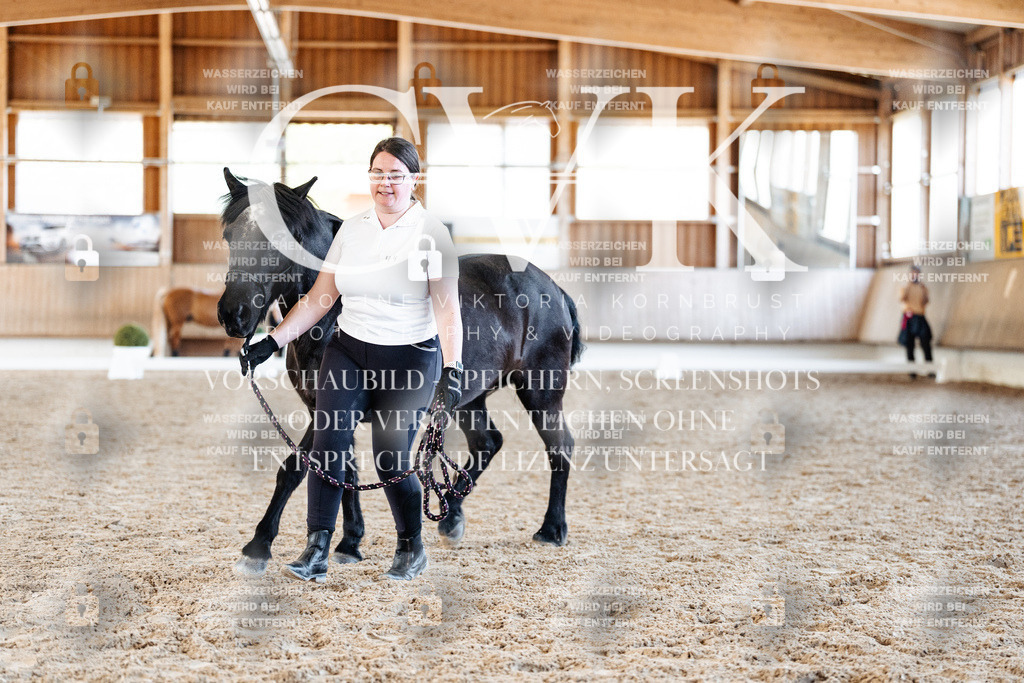 CK906527 | Turnierfotografie Pferdefotografie Trier Rheinland-Pfalz Pferdesport Reitsport Tierfotografie Sportfotografie Pferdevideo Pferdevideografie Equestrianvideography equestrianphotography  - Realisiert mit Pictrs.com