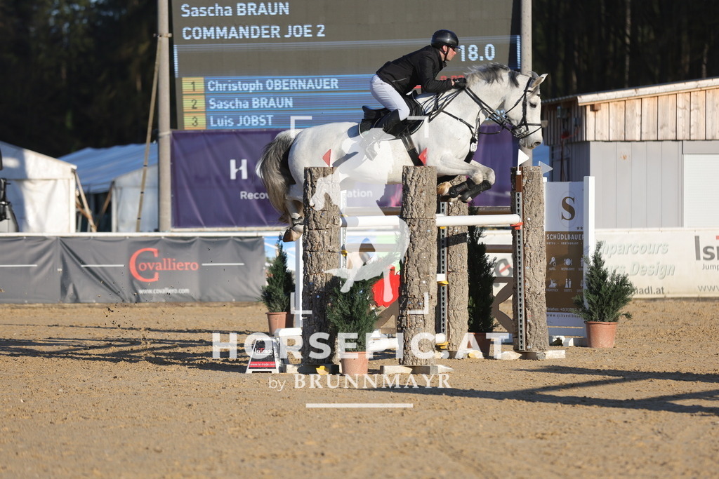 0P6A2499 | Willkommen bei Brunnmayr - Design & Fotografie – Ihrem Spezialisten für Reitturniere und Pferdeveranstaltungen in Oberösterreich, Salzburg und Bayern! Seit über 17 Jahren sind wir leidenschaftlich dabei.