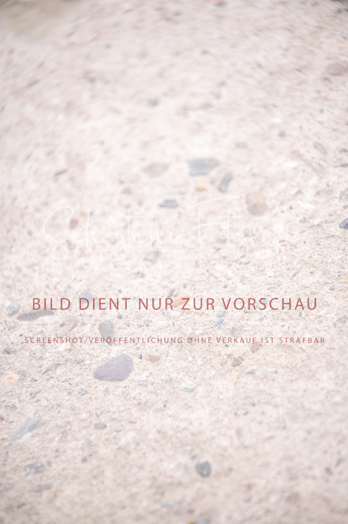 Schugtsche-Aluta25-40.DressurprfA_-221 | Schugtsche Fotografie - Realisiert mit Pictrs.com
