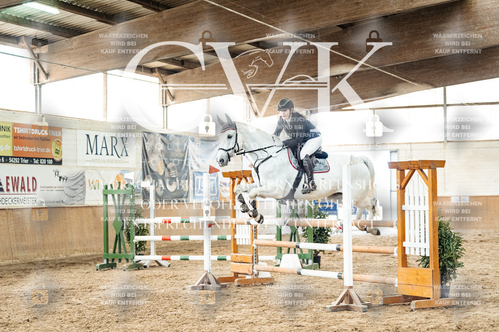 CK906286 | Turnierfotografie Pferdefotografie Trier Rheinland-Pfalz Pferdesport Reitsport Tierfotografie Sportfotografie Pferdevideo Pferdevideografie Equestrianvideography equestrianphotography  - Realized with Pictrs.com