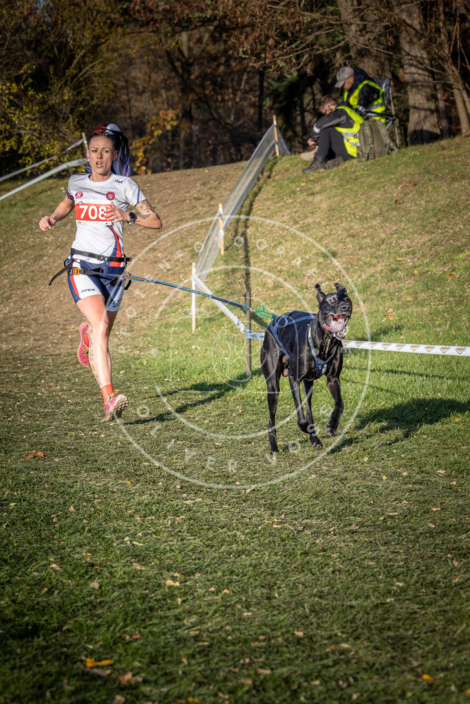 CaniXpix_0L8A9508 | Hundefotografie, Tierfotograf, Pfotenfotografie, Fotoshooting Hund, Hunde Portrait, Hundesport, Hundeportraits, Heideshooting, Hunde, Sportfotograf, Hundefotograf, Turnierhundsport, THS,  - Realisiert mit Pictrs.com