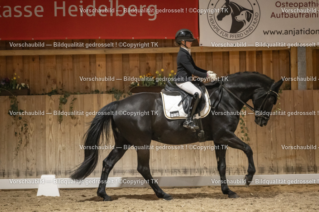 _D5A0722 | Emotionale Pferde- & People-Fotografie rund um Heidelberg, Leimen & Umgebung. Natürliche Fotos von Pferd, Mensch & Familie. Jetzt Termin sichern!