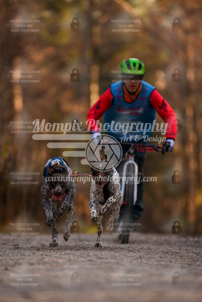 MompixPhotography_DM_AKDM_SO_2025_Scooter-17 | PayLife