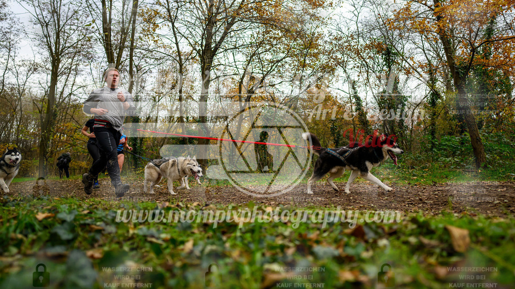 MompixPhotography_Bischwiller24_DI_CoursedeRelais-94 | PayLife