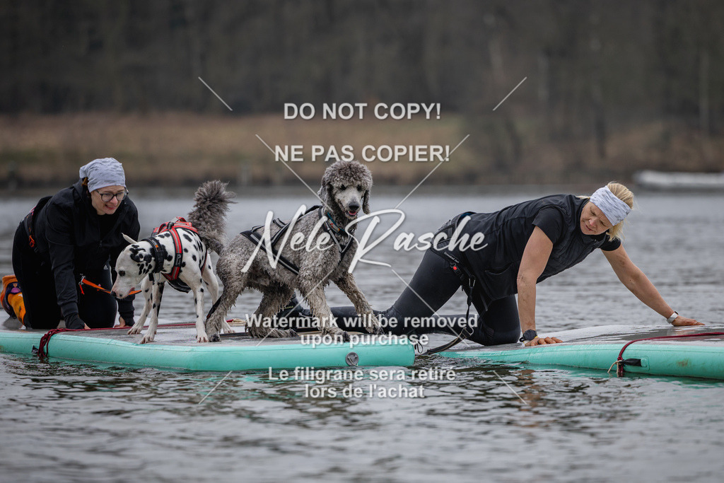 nelerasche_Hulsbeek_Sa1430-1515_204 | nelerasche