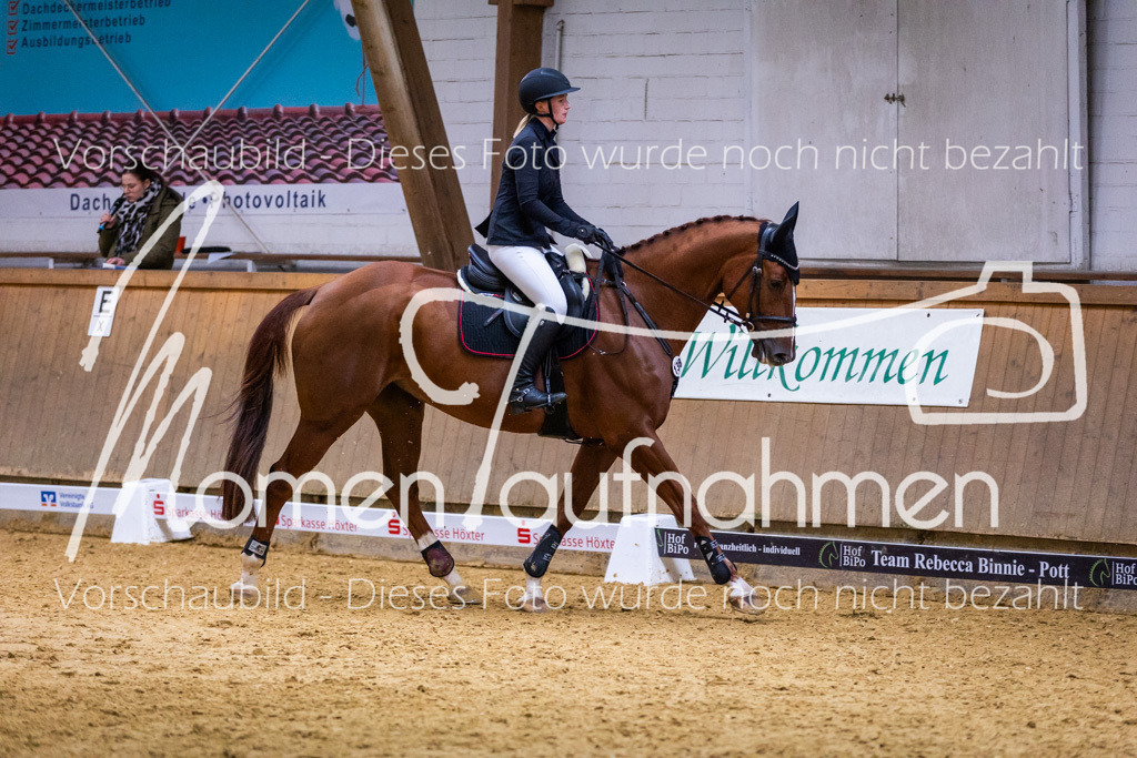 Sth-KombDreSpr-065 | MomenTaufnahmen Pferdesportfotos