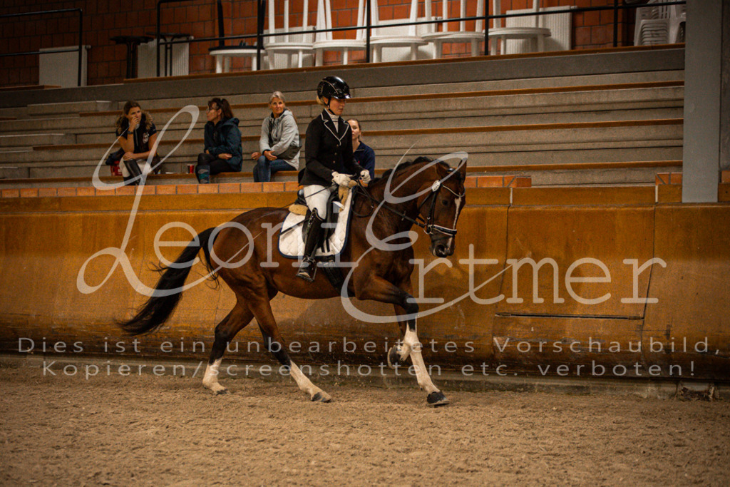 2Reiten00060 | Leoni Ertmer Photography - Realisiert mit Pictrs.com