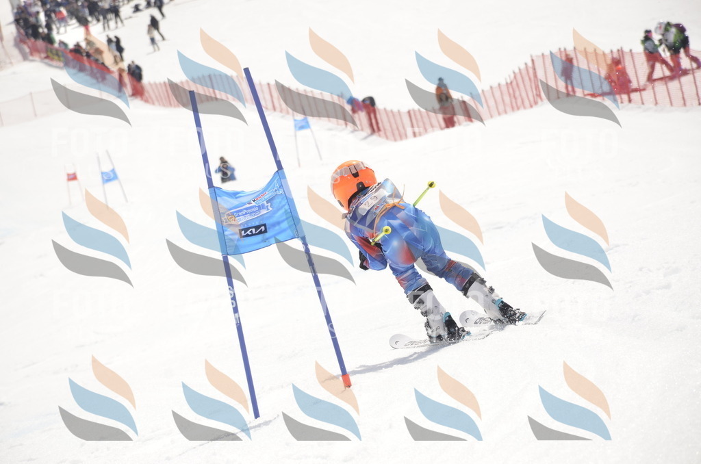 _ELE8914 | holidayphoto