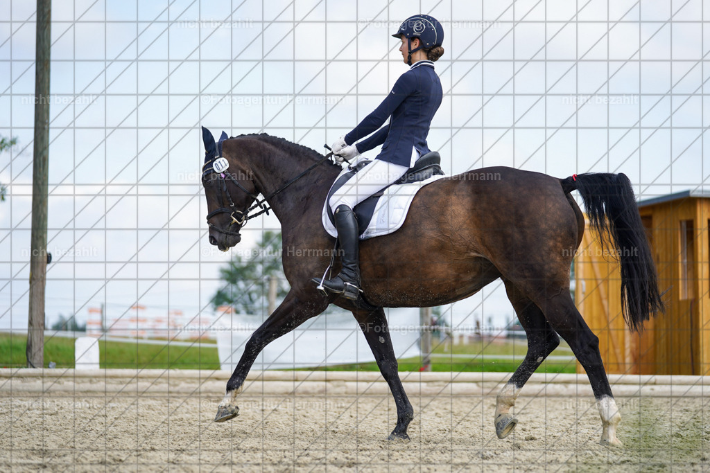 20230826-FAH05325 | Forstinning, 2023, Dressurturnier, Turniersportbilder, Turnierfotografen Bayern, Fotoagentur Herrmann, Reitsportfotografie, Turnierbilder
