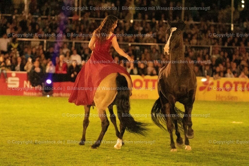 20230526_Pferdenacht_1421 | equistock