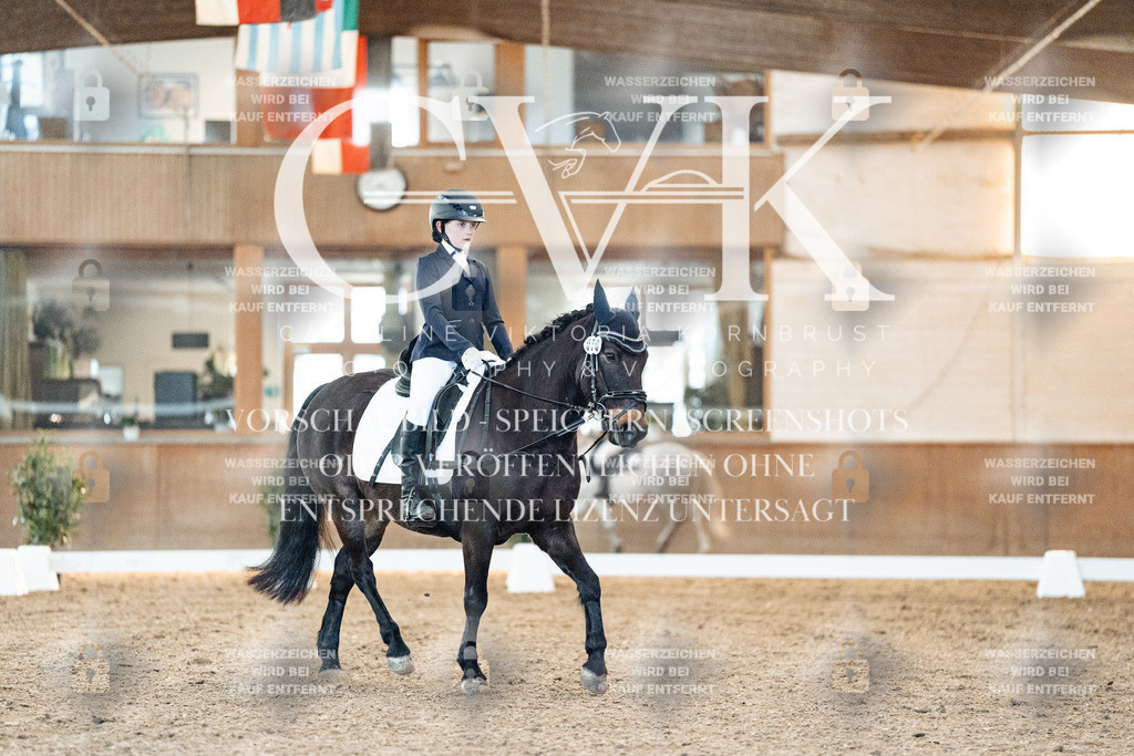 CK906684 | Turnierfotografie Pferdefotografie Trier Rheinland-Pfalz Pferdesport Reitsport Tierfotografie Sportfotografie Pferdevideo Pferdevideografie Equestrianvideography equestrianphotography  - Realisiert mit Pictrs.com