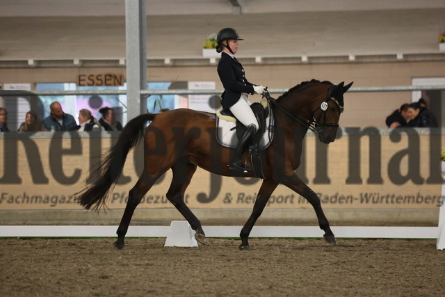 Waghäusel-Wiesental_2024_Prfg.Nr.08_1.WP_U25_Lara-Catherine Nowicki_Gino Ginelli 77 (2) | Alle Fotos der Reiterjournal Fotografin Doris Matthaes im Reiterjournal Online-Fotoshop. - Realisiert mit Pictrs.com