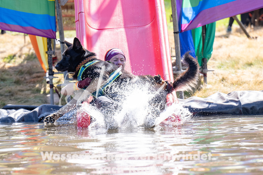 1429_ZZ90246 | kk-dogfotos