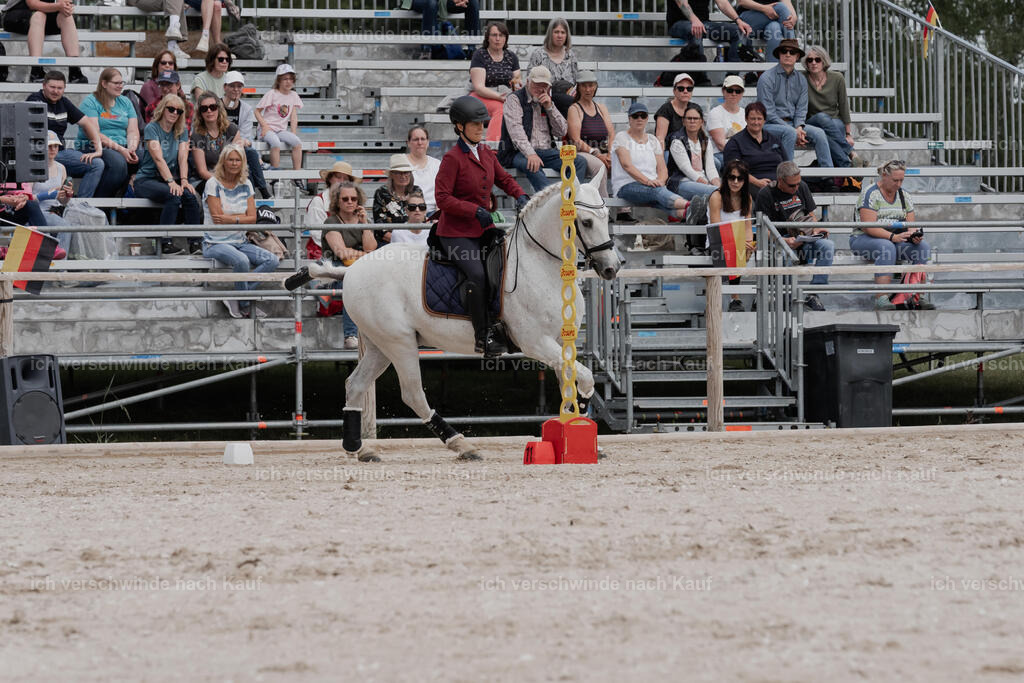 WE_ST_Stoib_332_PI2025_1184 | Pferd International München 2025