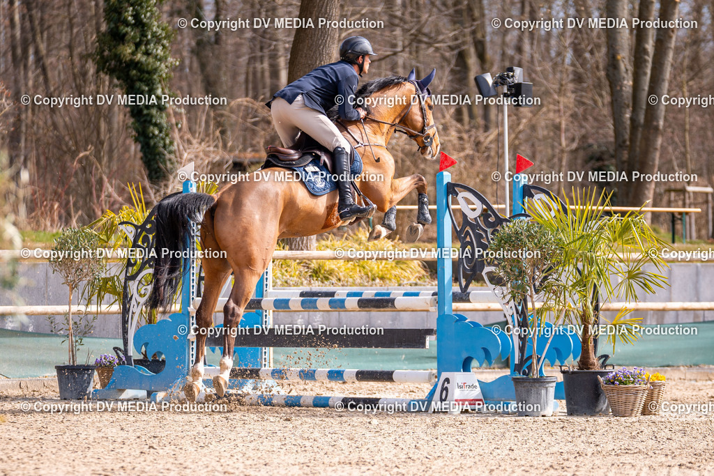 Kranichstein Tag 1-493 | dv-media-shop - Realisiert mit Pictrs.com