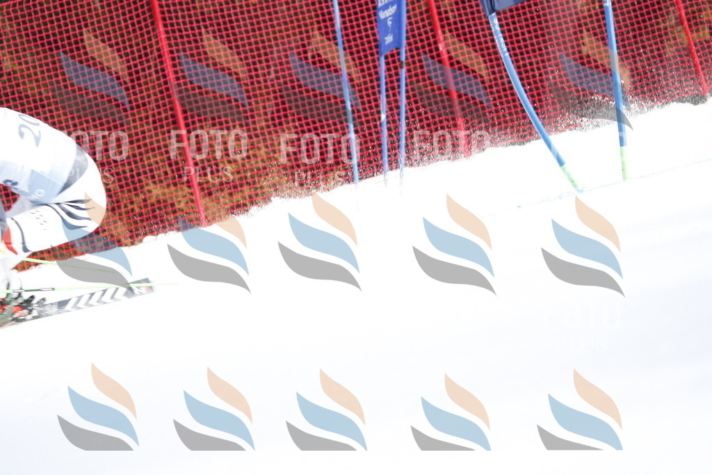 D8182 | holidayphoto