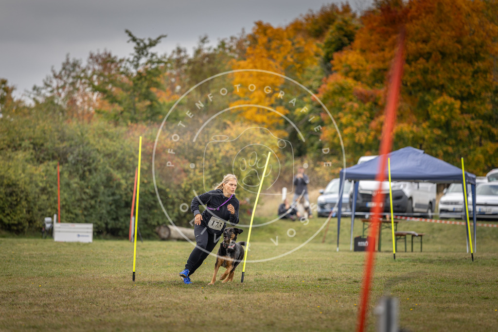 Pfotenfotografie_DV3A5712 | Hundefotografie, Tierfotograf, Pfotenfotografie, Fotoshooting Hund, Hunde Portrait, Hundesport, Hundeportraits, Heideshooting, Hunde, Sportfotograf, Hundefotograf, Turnierhundsport, THS,  - Realisiert mit Pictrs.com