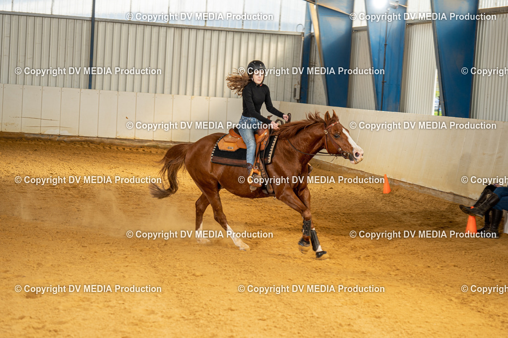 MIT00868 | dv-media-shop - Realisiert mit Pictrs.com