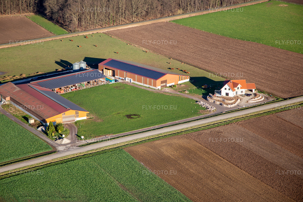 Vue aérienne: Sur le D244 à Schleithal dans le département Bas Rhin, France. Photo: IMG_135695.jpg prise le 03/01/2023 par Werner Riehm/FLY-FOTO.eu – Résolution de l'original: 5472 x 3648 px