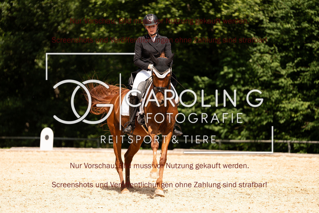 DSC07346 | Turnierfotografin Carolin Gieschke, Turnierfotografie Carolin G Fotografie, Turnierfotos Kirchheim/Teck, Esslingen, Stuttgart, Bodenseekreis