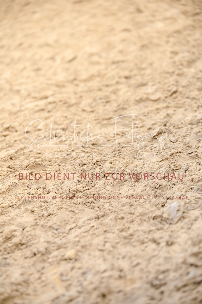 Schugtsche-Aluta25-44.DresssurreiterWB-255 | Schugtsche Fotografie - Realisiert mit Pictrs.com