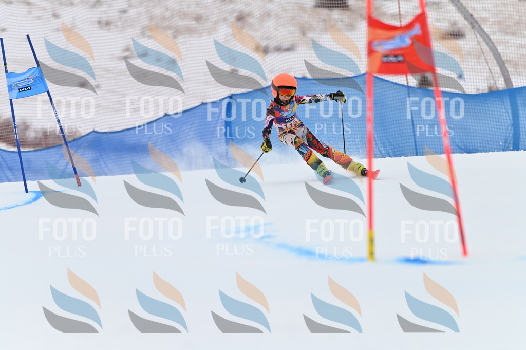 BGV_9600 | holidayphoto