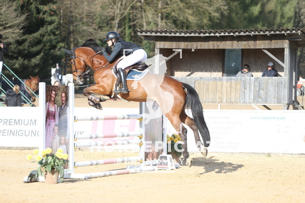 DL2Q3217 | Willkommen bei Brunnmayr - Design & Fotografie – Ihrem Spezialisten für Reitturniere und Pferdeveranstaltungen in Oberösterreich, Salzburg und Bayern! Seit über 17 Jahren sind wir leidenschaftlich dabei.