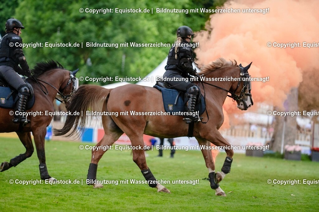 20250606_Lange-Pferdenacht_0741 | Foto: Thomas Hartig