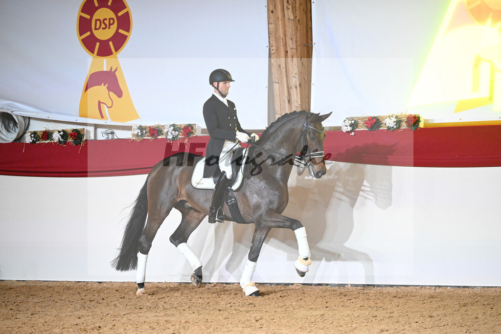 Knock Out_1234864 | hf-fotografie - Realisiert mit Pictrs.com