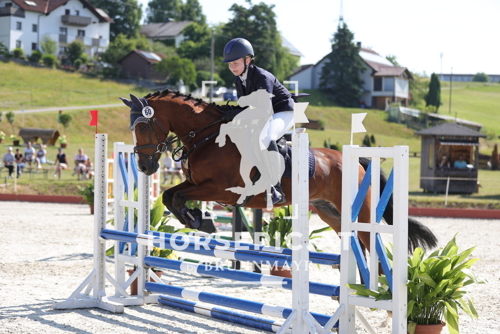 0P6A7563 | Willkommen bei Brunnmayr - Design & Fotografie – Ihrem Spezialisten für Reitturniere und Pferdeveranstaltungen in Oberösterreich, Salzburg und Bayern! Seit über 17 Jahren sind wir leidenschaftlich dabei.
