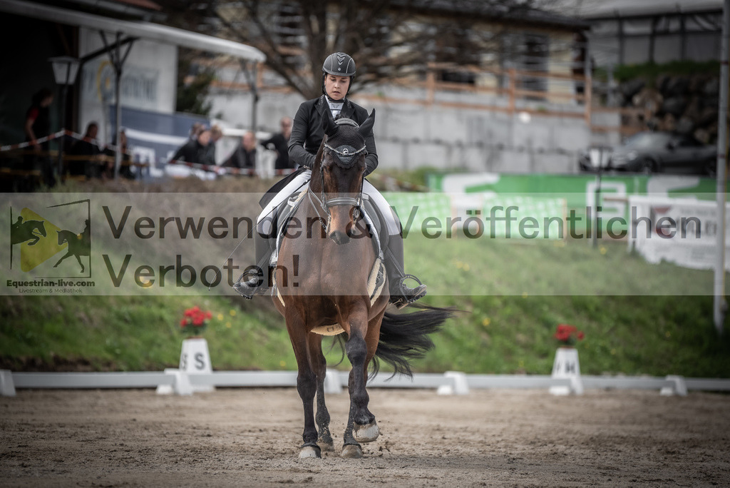 DSC_2954 | equestrian-live-com
