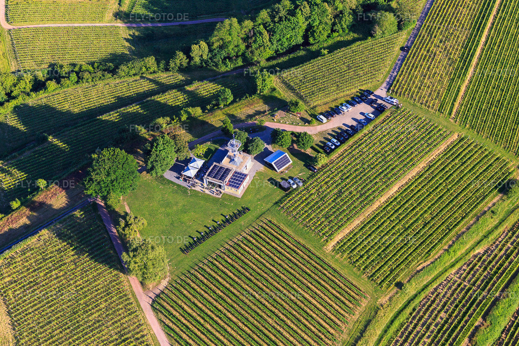 Aussichtsrestaurant Heubergturm / zum Heuberg auf dem Weinberg https://www.zumheuberg.de/ | Luftbild: Aussichtsrestaurant Heubergturm / zum Heuberg auf dem Weinberg https://www.zumheuberg.de/ in Ettenheim im Bundesland Baden-Württemberg in Deutschland. Foto: IMG_147750.jpg vom 30.05.2025 durch Werner Riehm/FLY-FOTO.de - Realisiert mit Pictrs.com