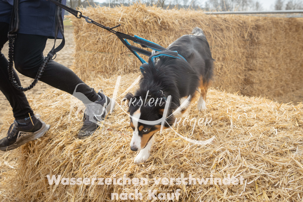 1041_ZZ97832 | kk-dogfotos