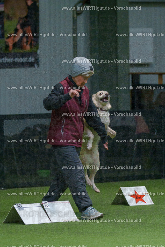 7R508024 | Professionelle Tierfotografie in Mönchengladbach von Daniel Wirth (allesWIRTHgut). Liebevolle & natürliche Bilder von Hunden & Katzen für unvergessliche Erinnerungen.