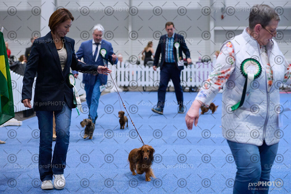 202406_ÖKV-IHA-Tulln24_DSC_3887 | proPHOTO - Realisiert mit Pictrs.com