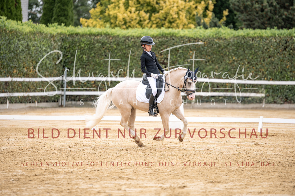 Schugtsche-Aluta25-40.DressurprfA_-475 | Schugtsche Fotografie - Realizzato con Pictrs.com