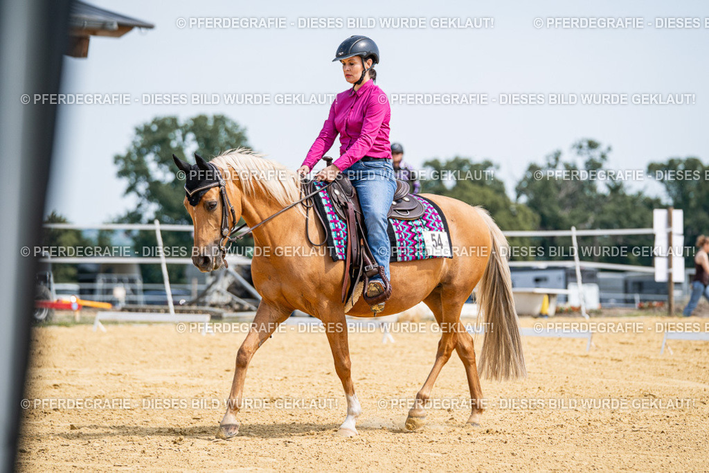 DSC00311 | Pferdegrafie