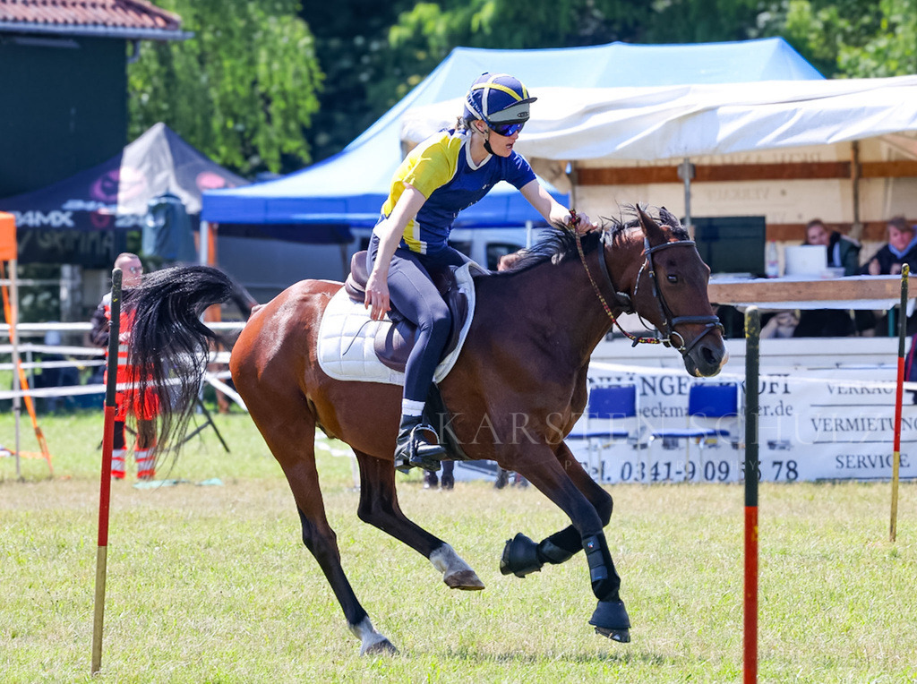 IMG_1600 | Reitsport Reiten