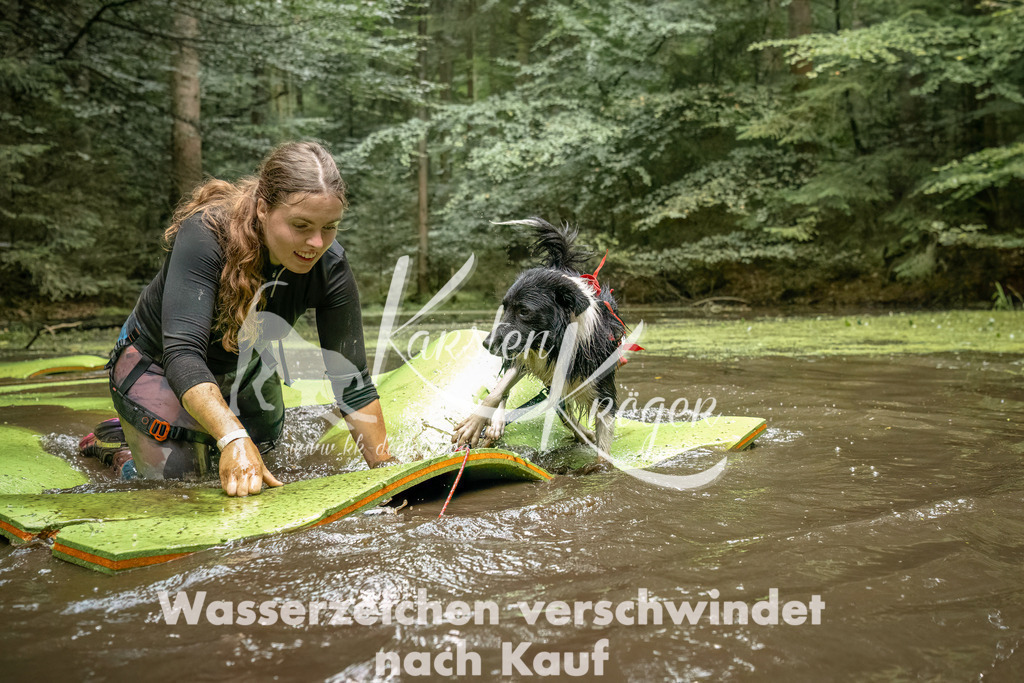 1454_ZZ94218-Bearbeitet | kk-dogfotos