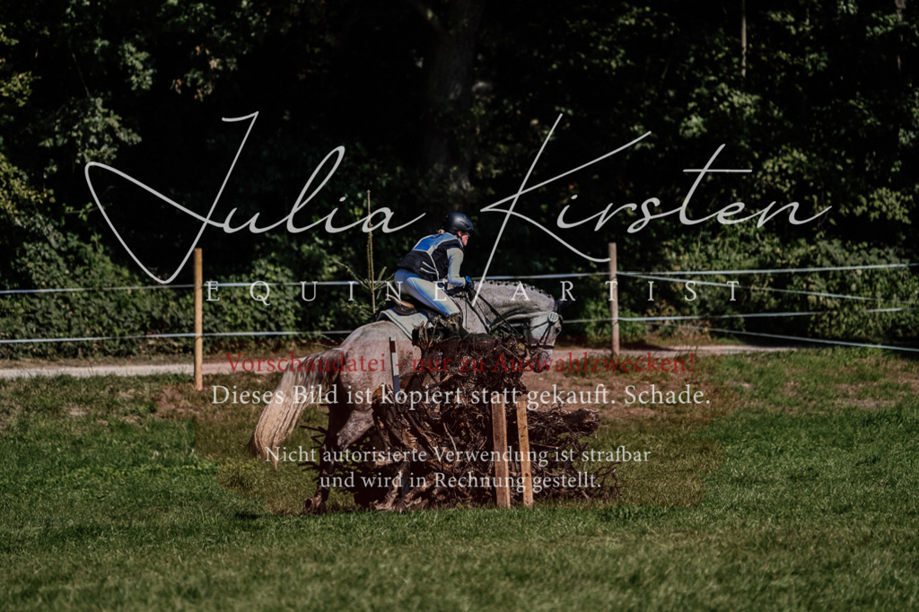 DSC_1412 | Pferde- und Turnierfotografie in Westsachsen. Pferdeportraits, Auftragszeichnungen und intuitive Kunst.