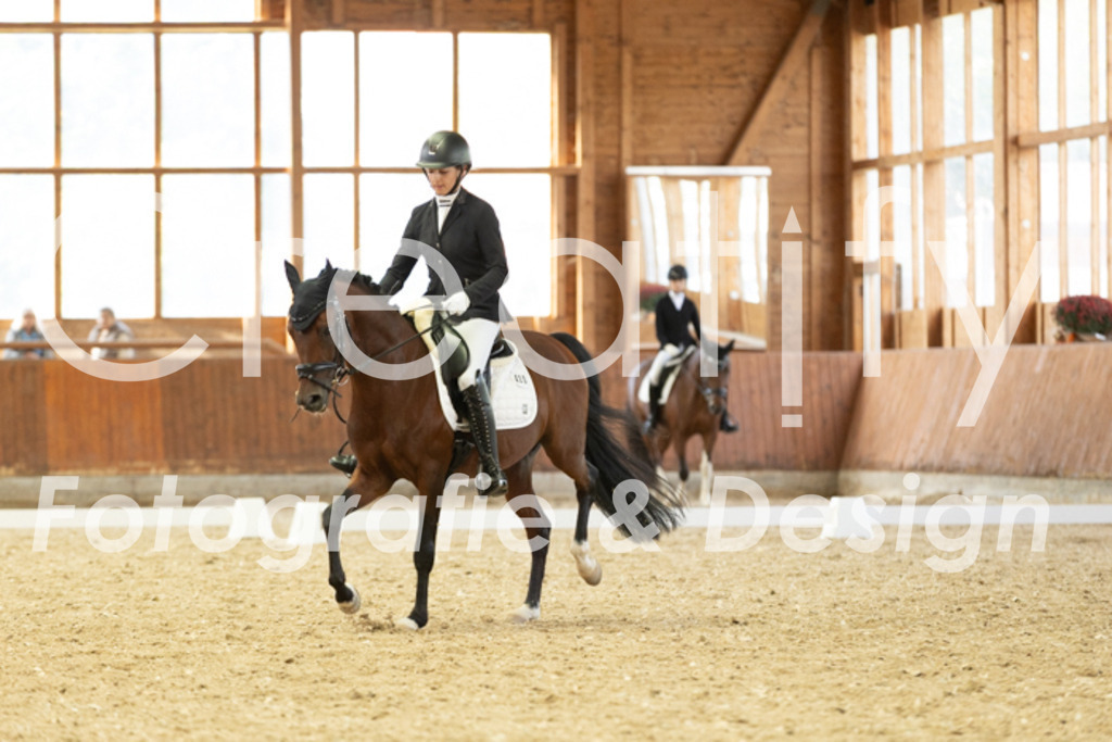 IMG_6006 | Creatify Fotografie