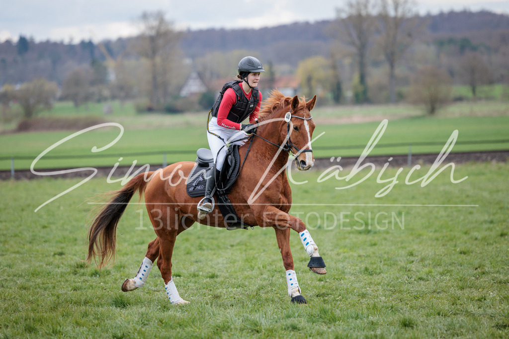 20260329-_3LI5759 | Tierfotografie Pferde, Hunde, Katzen, Haustiere.
Turnierfotografie Reitturniere, Reiten, Springreiten, Dressur in Hanau, dem Main-Kinzig-Kreis und dem Rhein-Main- Gebiet um Frankfurt